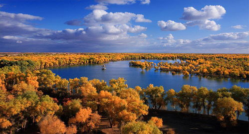 世界上面積最大 最古老 最原始的胡楊林 景色不輸額濟納