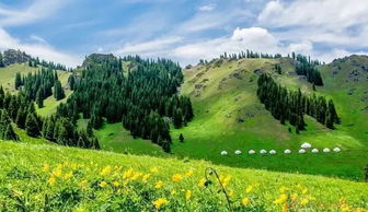 去過(guò)南山好多回,這些地方風(fēng)景如畫,但你都能叫上名字嗎