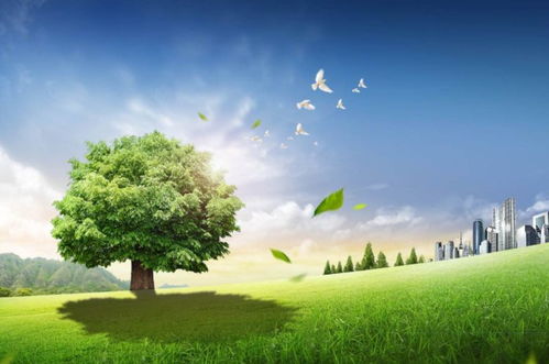 11 21 晴丨冷空氣降水降溫來了 烏魯木齊24日至28日投放儲備肉 加拿大小伙為新疆美食打call...