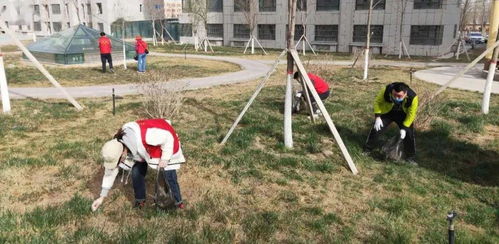 東城街道馬家坪社區 “雙報到”黨員先鋒行，攜手共建美麗家園